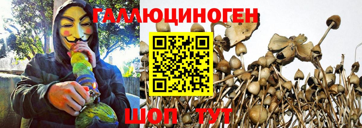 Галлюциногенные грибы GOLDEN TEACHER Семёнов